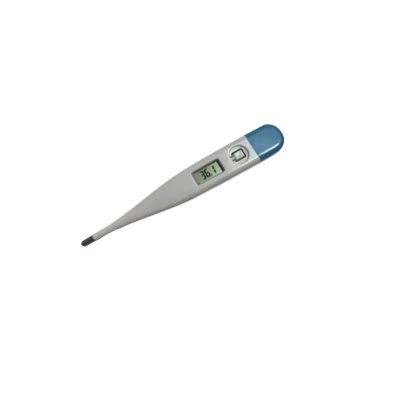 Electronic thermometer
